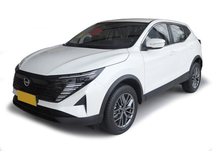 Водительские  коврики Nissan Qashqai (J11) Glory / Honor (Китай) 2024&nbsp;-&nbsp;2026 в Москве