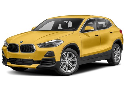EVA коврики на BMW X2 (F39) 2017 - 2023 в Москве