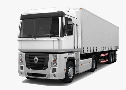 Коврики на Renault Magnum 1990 - 2013 в Москве