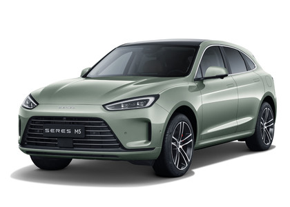Ворсовые коврики на Seres M5 2021 - 2025 в Москве