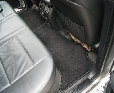 Коврики на BMW X5 (E53) 1999 - 2006 в Москве