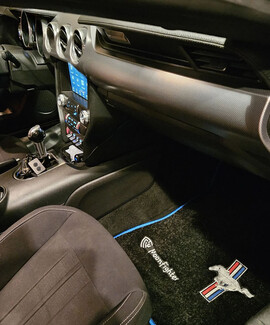 Коврики на Ford Mustang VI 2013 - 2023 в Москве Коврики на Ford Mustang VI 2013 - 2023 в Москве