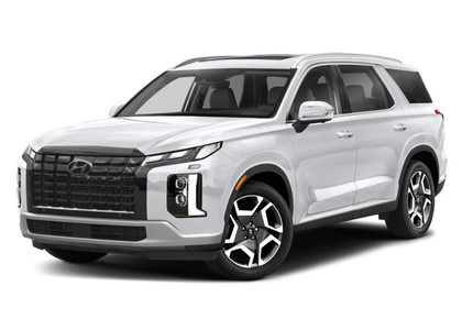 Коврики на Hyundai Palisade 2018 - 2025 в Москве