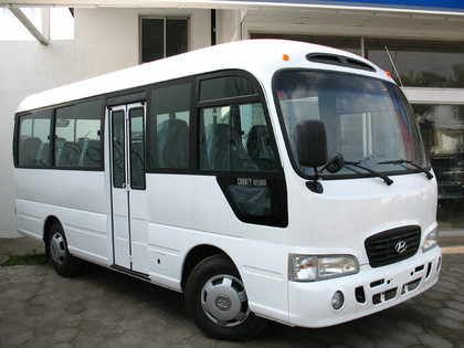 Коврики на Hyundai County 2006 - 2016 в Москве
