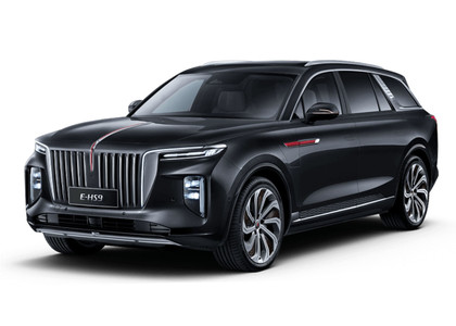 Коврики на Hongqi E-HS9 2022 - 2025 в Москве