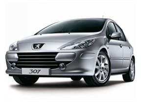 Коврики на Peugeot 307 2001 - 2008 в Москве