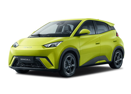 Коврики на BYD Seagull 1 2023&nbsp;-&nbsp;2026 в Москве