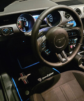 Коврики на Ford Mustang VI 2013 - 2023 в Москве Коврики на Ford Mustang VI 2013 - 2023 в Москве