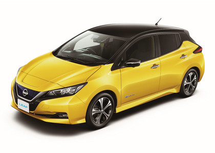 EVA коврики на Nissan Leaf (ZE1) 2017 - 2025 в Москве