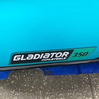 EVA коврики на Лодки Gladiator E350S  в Москве