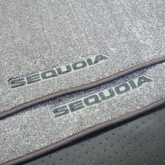 Коврики на Toyota Sequoia I 2001 - 2008 в Москве