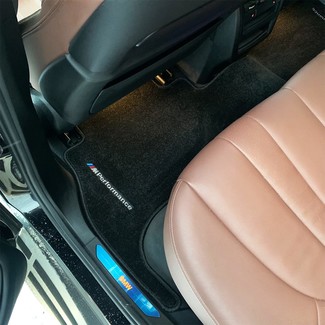 Коврики на BMW X5 (G05/G18) 2018 - 2025 в Москве