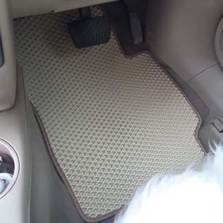 Коврики на Mazda Demio II (DY) 2002 - 2007 в Москве