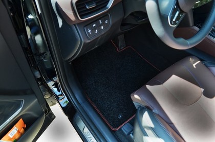 Ворсовые коврики на Hyundai Santa Fe IV 2018 - 2021 в Москве